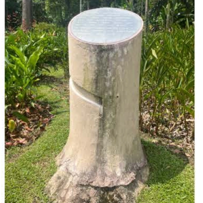 system-data-structure/title/text()